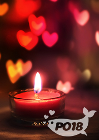 仅你可见(NP 坏女人) 仅你可见(NP 坏女人)