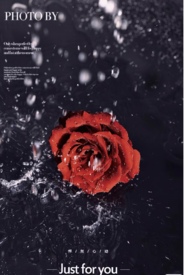 玫瑰花保养手册(恋与深空同人) 玫瑰花保养手册(恋与深空同人)