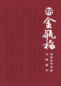 大陸禁書:新金瓶梅 大陸禁書:新金瓶梅